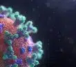 Visualization of the Coronavirus