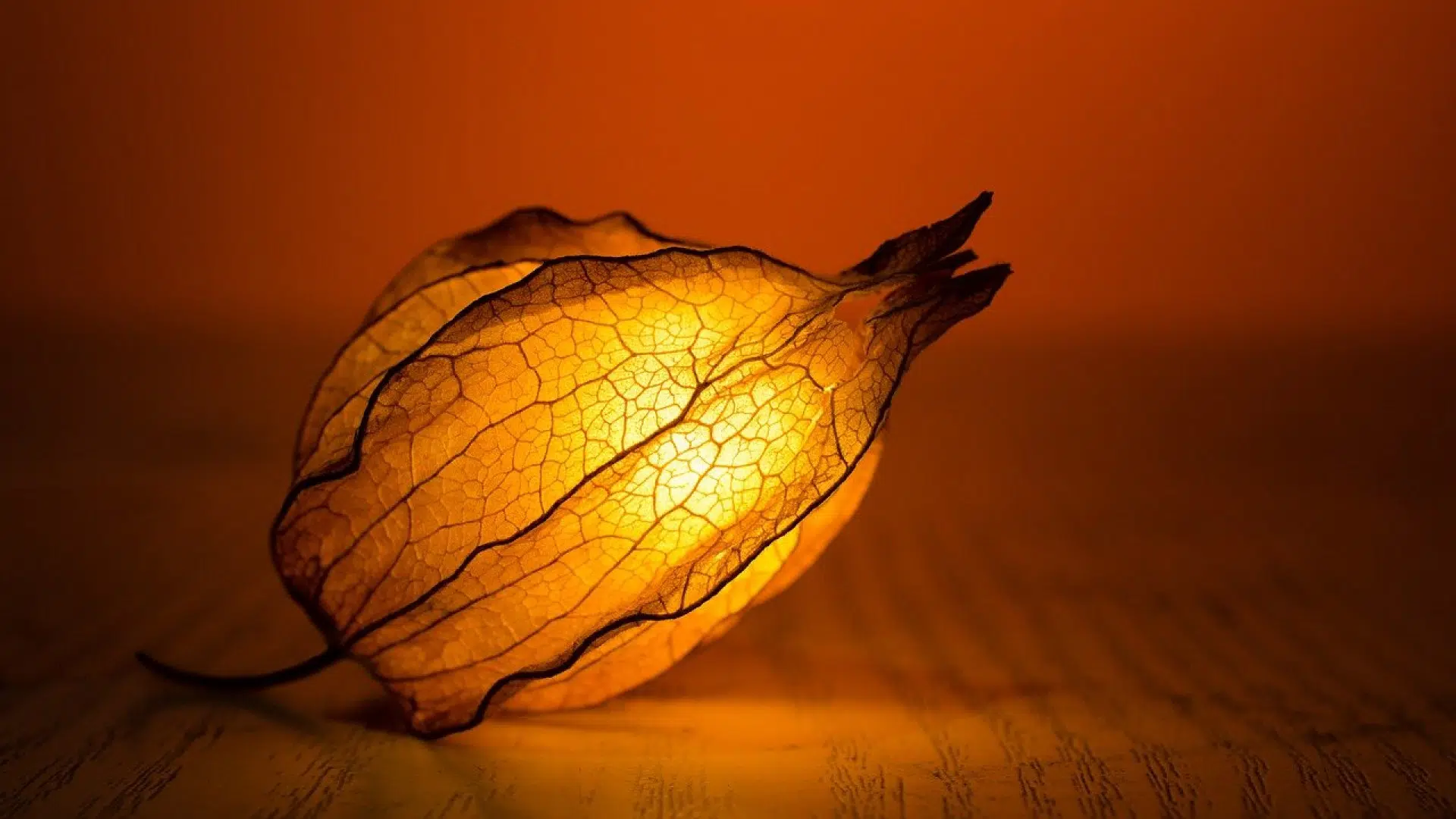 Lampes de sel de l’Himalaya : les avantages