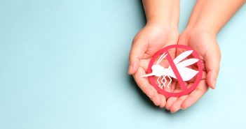 Moustiques : pourquoi tourner le dos aux produits chimiques et miser sur des alternatives naturelles ?