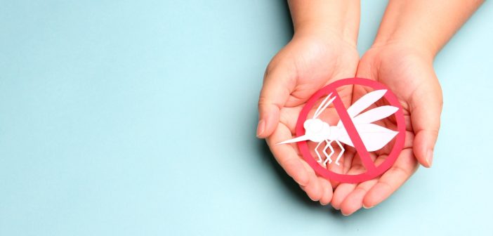 Moustiques : pourquoi tourner le dos aux produits chimiques et miser sur des alternatives naturelles ?